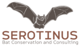 Studio Serotinus